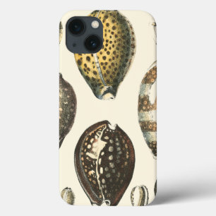 Einzigartig geformte Seashells iPhone 13 Hülle