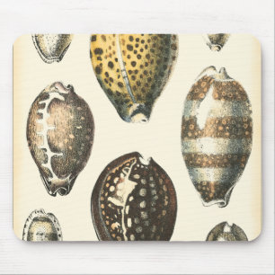 Einzigartig geformte Seashells Mousepad