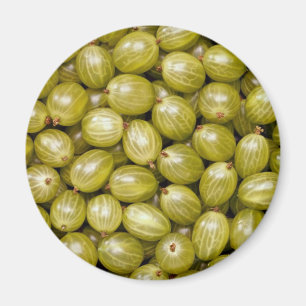Einzigartige grüne Stachelbeeren Magnet