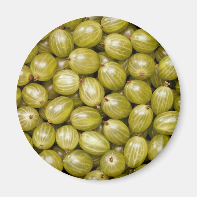 Einzigartige grüne Stachelbeeren Magnet (Vorne)