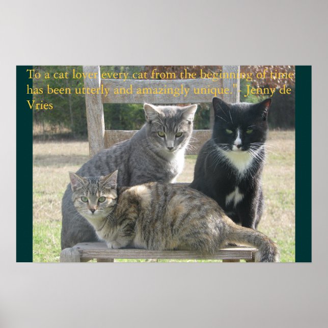 Einzigartige Katzen Poster (Vorne)