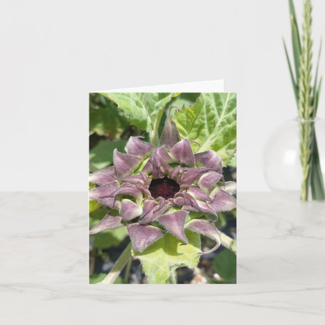Einzigartige Lila Sonnenblumenkarte Dankeskarte (Vorderseite)