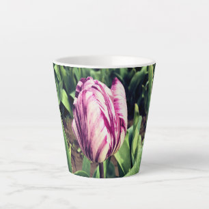 Einzigartige lila-weiße Streifen-Tulpe Milchtasse