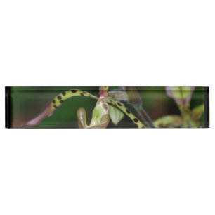 Einzigartige Orchidee Namensplakette