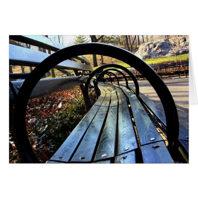 Einzigartige Parkbank, Central Park, NYC (Vorderseite (Horizontal))