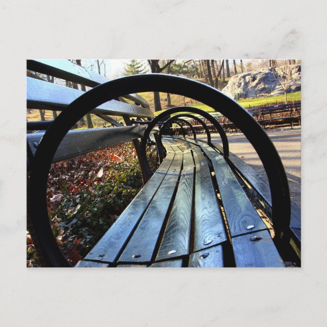 Einzigartige Parkbank, Central Park, NYC Postkarte (Vorderseite)