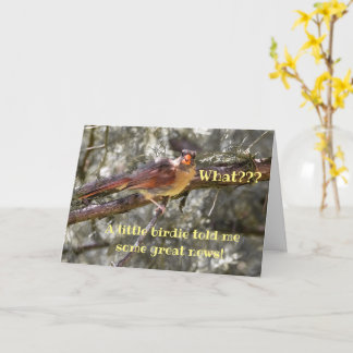 Einzigartige Red Bird Baby Announccard Karte
