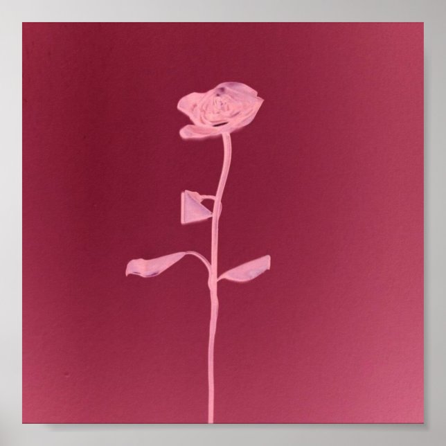 EINZIGARTIGE ROSE POSTER (Vorne)