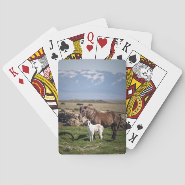 Einzigartige Spielkarten für Pferde Lover (Rückseite)