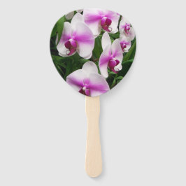 Einzigartige weiße Orchideen mit rosa Blüten auf e Fächer