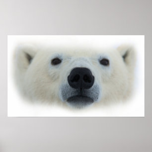 Einzigartiger Chic Polar Bärenkunst - Poster druck