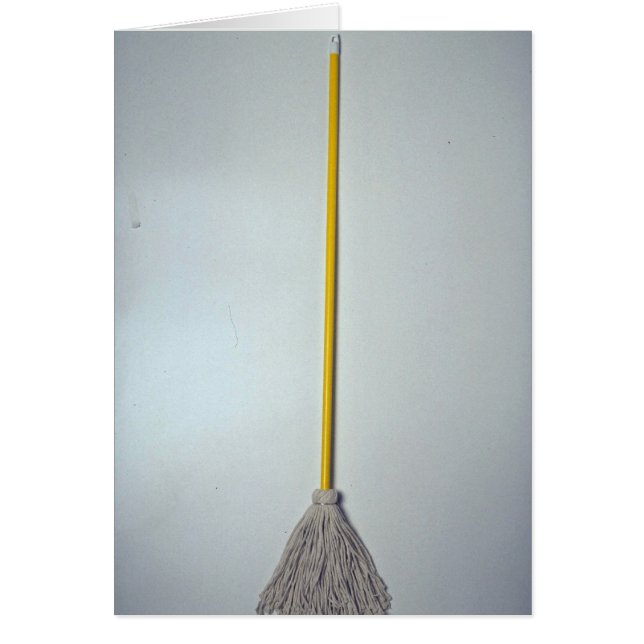 Einzigartiger Mopp (Vorne)