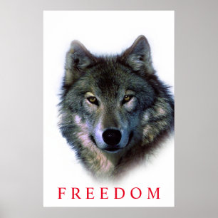 Einzigartiger Motivationsfreiheit-Wolf-Türposter Poster