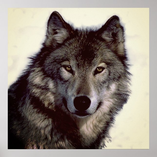 Einzigartiger Motivierend Wolf Kreativer Platz Poster (Vorne)