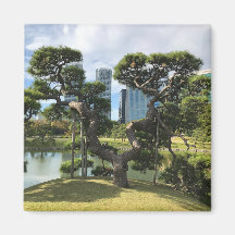 Einzigartiger Pinienbaum