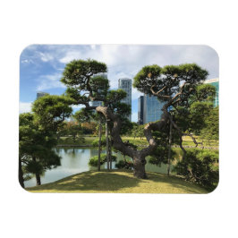 Einzigartiger Pinienbaum Magnet