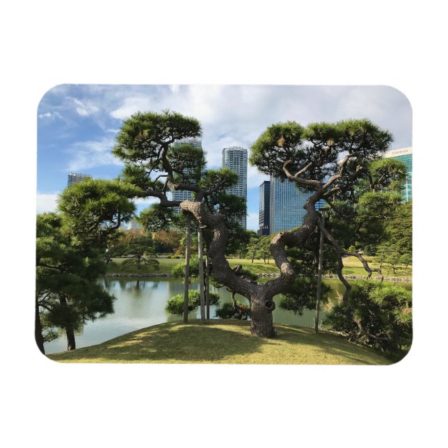 Einzigartiger Pinienbaum Magnet (Horizontal)