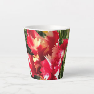 Einzigartiger Rot-Weiß-Tulip Milchtasse