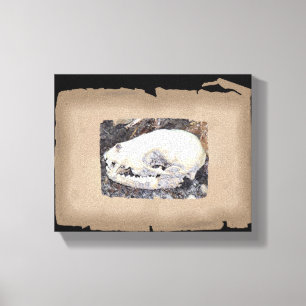 Einzigartiger Sepianskull Leinwanddruck