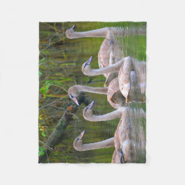 Einzigartiger Swan Fleecedecke