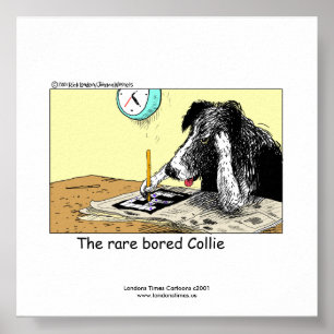 Einzigartiges lustiges Border Collie Poster