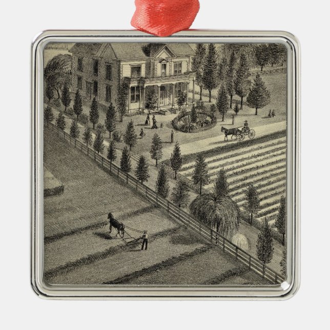 Einzige Baum-Ranch Silbernes Ornament (Vorne)