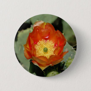 Einzige orange Kaktusfeige Button
