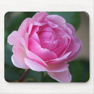 Einzige rosa Rose Mousepad