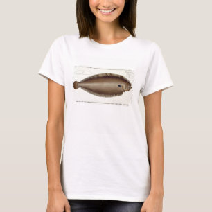 Einzige (Solea Solaea) Platte XLV Dovers von T-Shirt