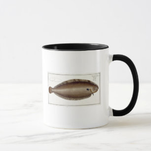 Einzige (Solea Solaea) Platte XLV Dovers von Tasse