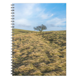 Einziger Baum im Landschaftsnotizbuch Notizblock