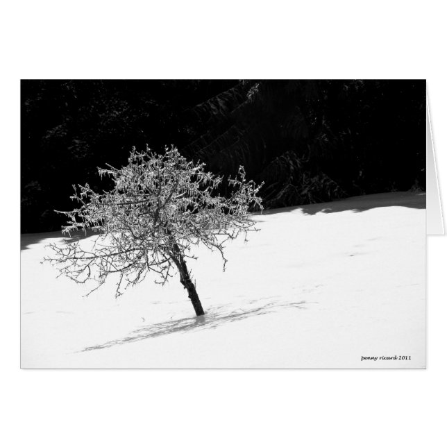 Einziger eisiger Baum im Winter (Vorderseite (Horizontal))