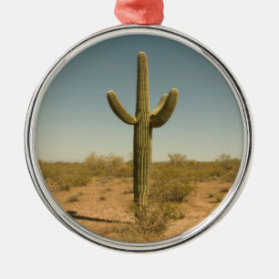 Einziger Kaktus Ornament Aus Metall