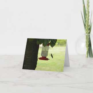 Einziger Kolibri Karte