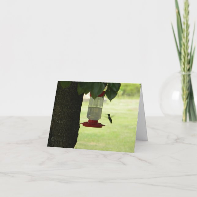 Einziger Kolibri Karte (Vorderseite)