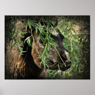 Einziger Mini-Fill unter dem wilden Baum Poster