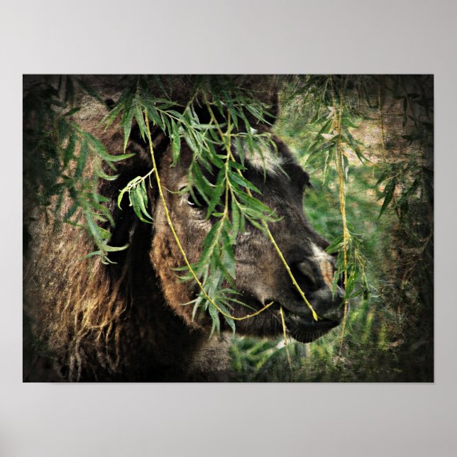 Einziger Mini-Fill unter dem wilden Baum Poster (Vorne)