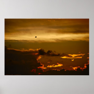 Einziger Vogel in einem Firey Himmel (Plakat) Poster