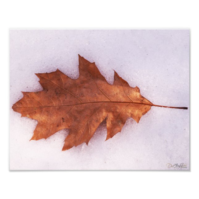 Einziges Foto (Vorne)