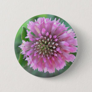 Einzigrosa Blüte Button