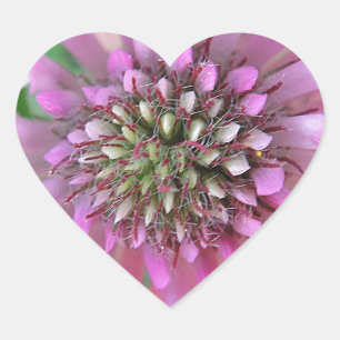 Einzigrosa Blüte Herz-Aufkleber