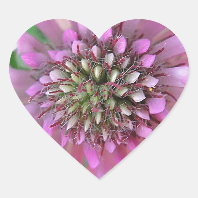 Einzigrosa Blüte Herz-Aufkleber (Vorderseite)