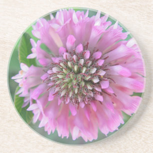 Einzigrosa Blüte Untersetzer