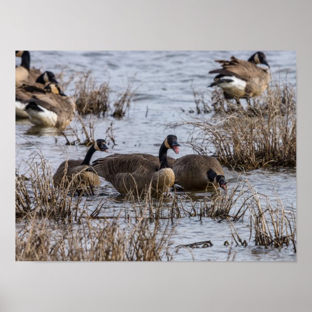 Einzug Poster (Vorne)