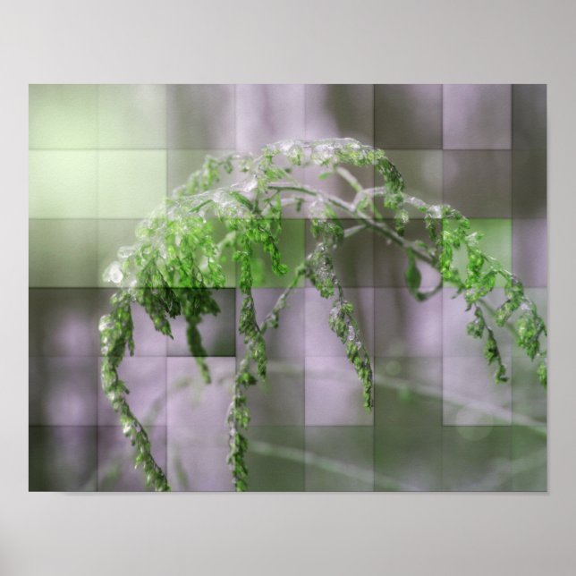 Eis auf Goldenrod Naturester Poster (Vorne)