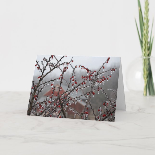 Eis-Beeren Karte (Vorderseite)