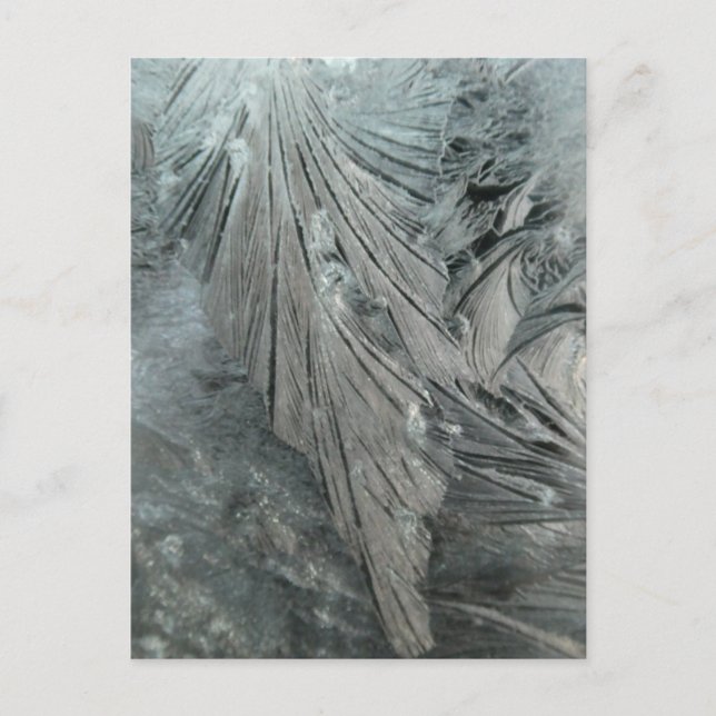 Eis Blume Vertikale DICKE Postkarte (Vorderseite)