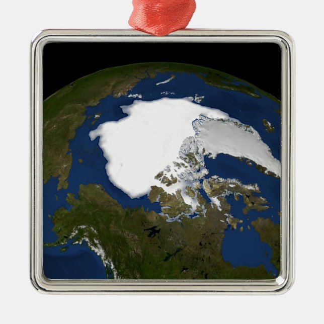 Eis im arktischen Meer 2005 Ornament Aus Metall (Vorne)