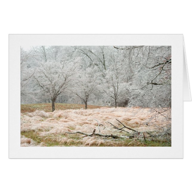 Eis-Sturm ländliches Tennessee - Fotografie (Vorderseite (Horizontal))