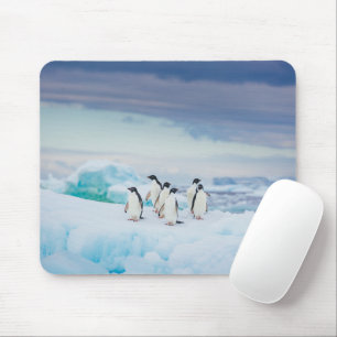 Eis und Schnee Adelie Penguins Antarktis Mousepad